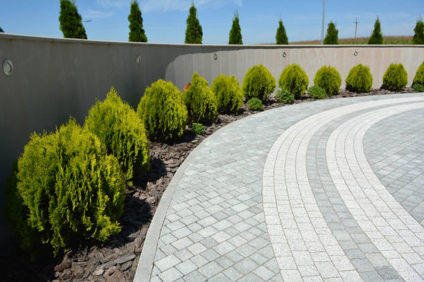 Best Residential Paver Driveway  in Morningside, MD